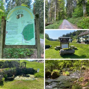 Wanderwege ab unsere Haustüre Bild 42: Wellness Ferienhaus Schwarzwaldhaus Zwink Enzklösterle Sauna BBQ Garten