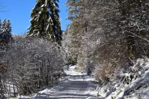 Winterwandern sehr schöne Wanderwege direkt ab unsere Haustüre
