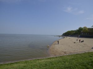 Bild 15: Hübsches Ferienhaus Coyle im Nordseebad Dangast für 4 Personen+Hund (75qm)