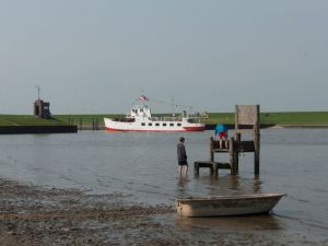 Bild 16: Hübsches Ferienhaus Coyle im Nordseebad Dangast für 4 Personen+Hund (75qm)