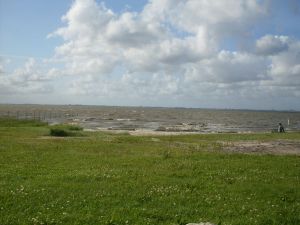 Bild 11: Freundliche Ferienwohnung Nina2 für 3 Personen (50qm) im Nordseebad Dangast