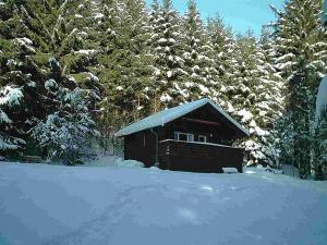 im Winter.....