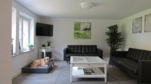 Bild 7: Ferienhof Pfotenglück in der Eifel Einheit Bachlauf