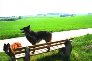 zahlreiche Wanderwege direkt ab dem Haus