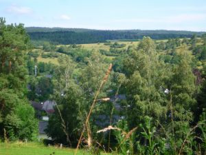Bild 35: Wolf's Ferienhaus - Ahrdorf "Natürlich Eifel"