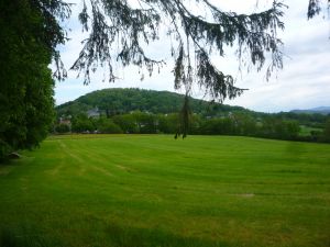 Bild 57: Wolf's Ferienhaus - Ahrdorf "Natürlich Eifel"