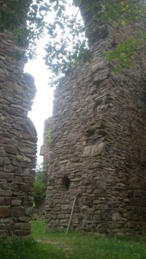 Bild 52: Wolf's Ferienhaus - Ahrdorf "Natürlich Eifel"