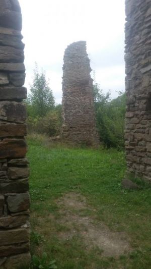 Bild 53: Wolf's Ferienhaus - Ahrdorf "Natürlich Eifel"