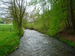 Bild 44: Wolf's Ferienhaus - Ahrdorf "Natürlich Eifel"
