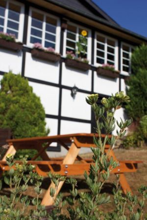 Bild 2: Wolf's Ferienhaus - Ahrdorf "Natürlich Eifel"