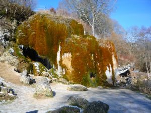 Bild 48: Wolf's Ferienhaus - Ahrdorf "Natürlich Eifel"