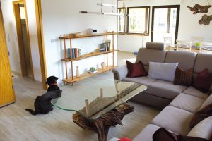 Bild 11: Wolf's Ferienhaus - Ahrdorf "Natürlich Eifel"