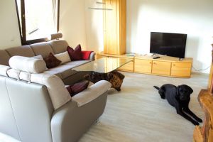 Bild 13: Wolf's Ferienhaus - Ahrdorf "Natürlich Eifel"