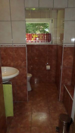 Toilette Erdgeschoss im Anbau Hier befindet sich die zweite Toilette im Haus. Es ist ein grosses Handwaschbecken, Spiegel, Fön und ein Leiterregal vorhanden.