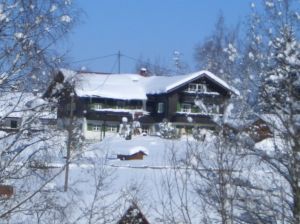 Bild 20: Ferienwohnung Kira, nur mit Hund im Allgäu. Haus Christl Cranz / Steibis