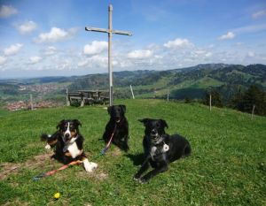 Bild 9: Ferienwohnung Kora, nur mit Hund, Haus Christl Cranz Steibis im Allgäu