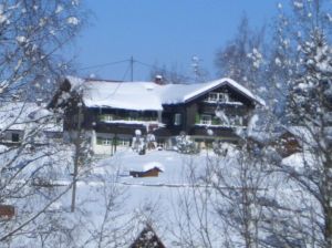 Bild 22: Ferienwohnung Paula, nur mit Hund, Haus Christl Cranz in Steibis im Allgäu