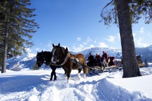 Pferdeschlittenfahrt Eine traumhafte Fahrt mit dem Pferdeschlitten durch die verschneite Landschaft / Bildquelle: Oberstaufen-Tourismus