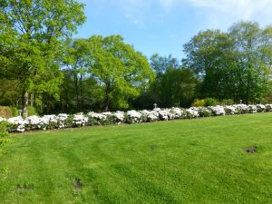 Bild 20: Lindenhof Dangast an der Nordsee Wohnung 2