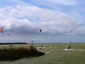 Bild 12: Landhaus am Teich - Ferienwohnung rot - Saaler Bodden - Ostsee
