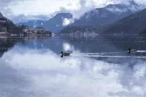 Bild 12: Ferienwohnung Valentina mit eingezäunte Terrasse am Ledrosee