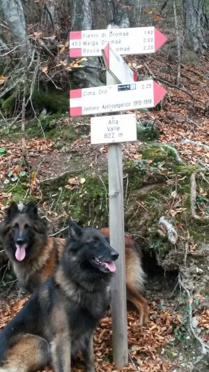 Bild 18: Ferienwohnung Valentina mit eingezäunte Terrasse am Ledrosee