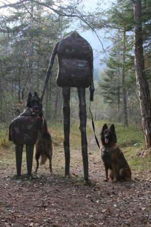 Bild 16: Ferienwohnung Valentina mit eingezäunte Terrasse am Ledrosee