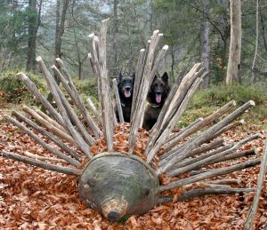 Bild 15: Ferienwohnung Valentina mit eingezäunte Terrasse am Ledrosee
