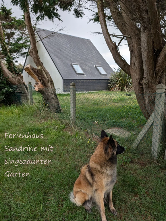 F116w Haus Sandrine - Ferienhäuschen am Strand! Hunde sind willkommen