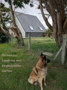 Ferienhaus in La Haye-du-Puits: F116w Haus Sandrine - Ferienhäuschen am Strand! Hunde sind willkommen