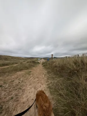 Weg vom Strand zum Haus