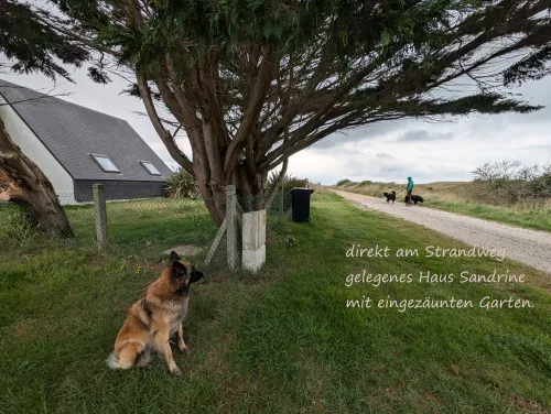 Ferienhaus an Dünen