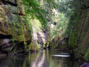 in der angrenzenden Böhmischen Schweiz