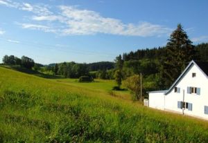 Bild 3: Ferienhaus "Conny" mit Sauna und komplett eingezäunten Garten