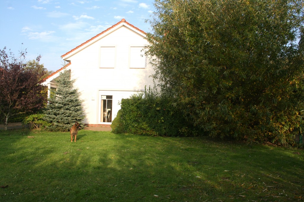 Nordsee-Ferienhaus "BellaNorda" mit eingezäunten Garten. Hunde willkommen