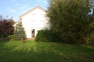 Bild: Nordsee-Ferienhaus "BellaNorda" mit eingezäunten Garten. Hunde willkommen