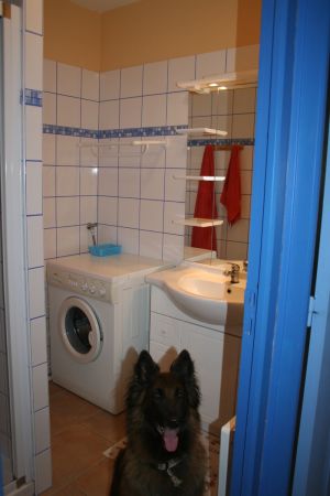 Bild 7: F115b Haus am kilometerlangen Strand. Hunde willkommen! Eingez. Garten