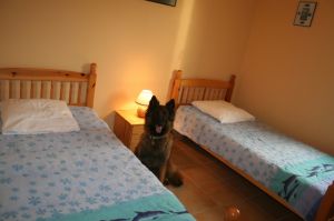 Bild 6: F115b Haus am kilometerlangen Strand. Hunde willkommen! Eingez. Garten