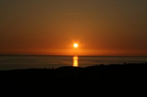 Bild 21: F115b Haus am kilometerlangen Strand. Hunde willkommen! Eingez. Garten