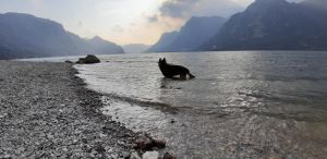 Bild 16: I17p Haus Oskar direkt am Idrosee gelegen mit eigenem Garten