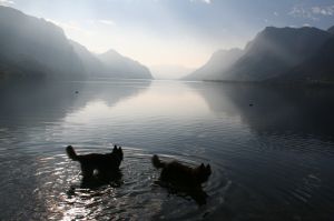 Bild 14: I17p Haus Oskar direkt am Idrosee gelegen mit eigenem Garten