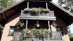 Bild 2: Ferienwohnung direkt am See