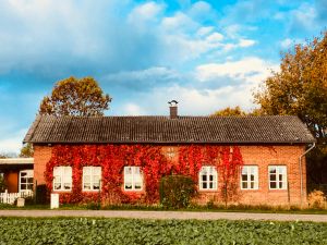 Die rechte Haushälfte ist das Ferienhaus mit separatem Eingang.
