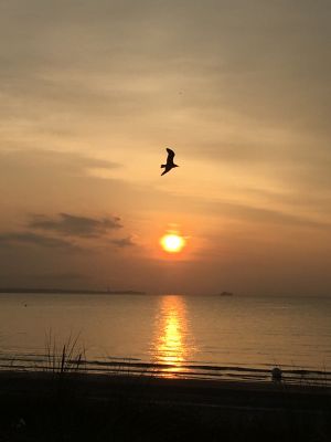 Mit ca. 12 Autominuten ist man schnell am Strand. Bild vom Juli 2021, 5.36 Uhr.