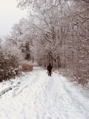Bild 23: Urlaub mit Hund-Ostseenähe-eingezäunter Garten