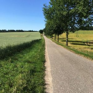 Das Ferienhaus liegt äußerst ruhig. Keine Durchgangsstrasse.