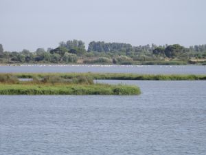 15 km entfernt ist El Rocio mit dem angrenzenden Naturpark Cotes de Donana