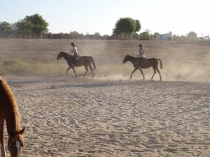 Reitstunde auf dem Platz im Juli