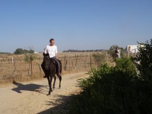 Vormittags kann man auch im heißen August Ausritte in den schattigen Pinienwäldern machen.
