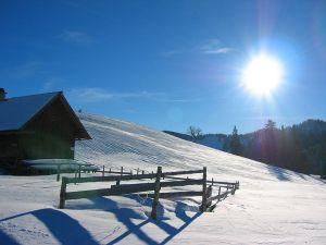Bild 12: KOMFORT-FEWO Tiroler Lechtal - am Skilift/Loipe - ruhige Lage